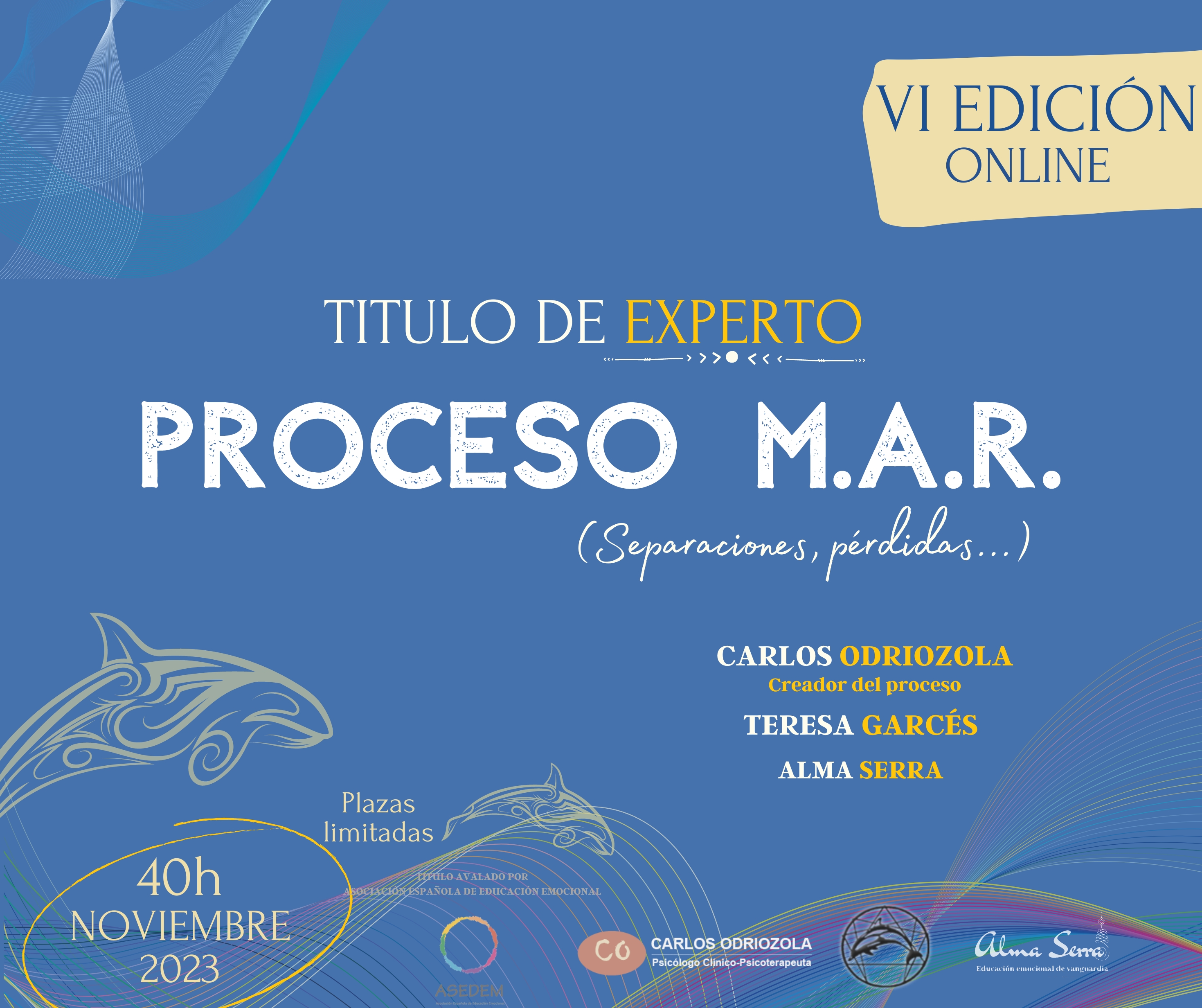 V Edición Título Experto Proceso M.A.R. (Online)